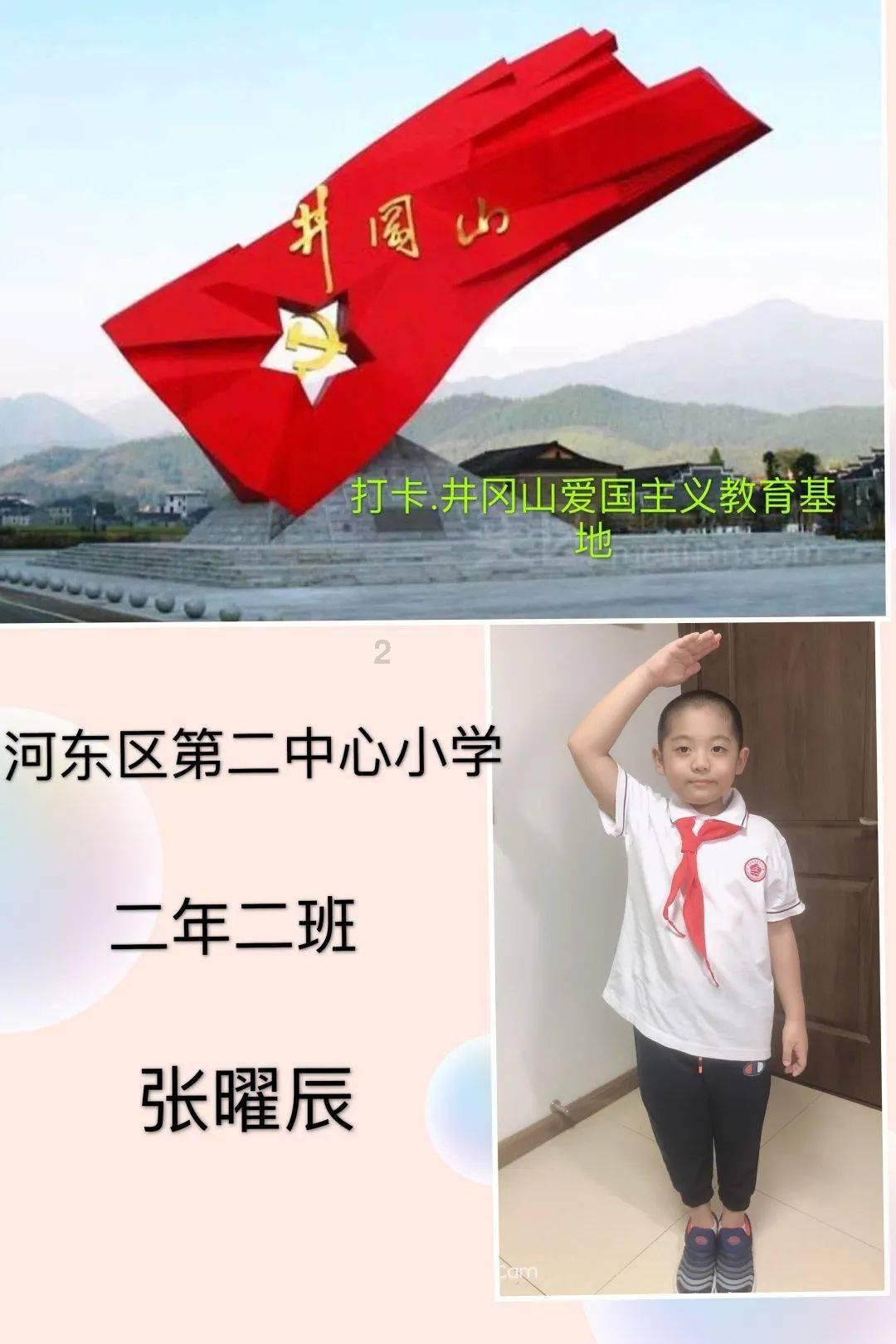 动物帮帮忙保卫家园